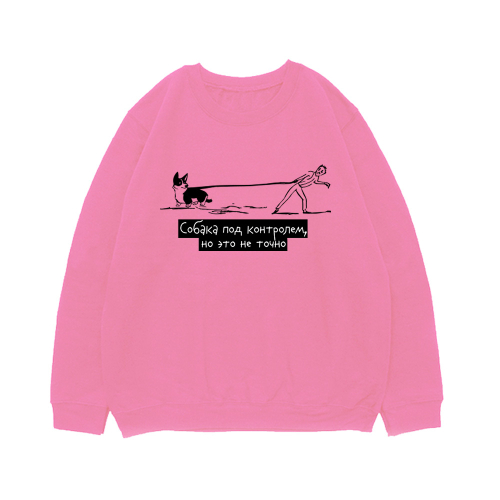 Свитшот "Корги под контролем"