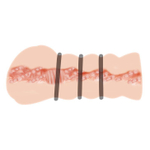 Мастурбатор Baile Crazy Bull Julia – тугой с кольцами, 15 см