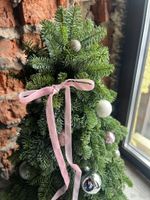 Елка из нобилиса h-55