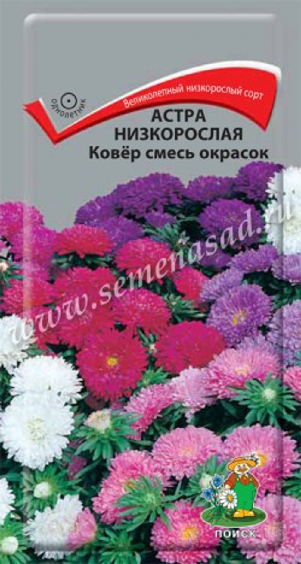 Астра Пампушка клубничная  0,3гр Гавриш