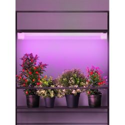 Светильник для растений, фитолампа светодиодная линейная ЭРА FITO-24W-RB-N красно-синего спектра 24 Вт | Линейные фито светильники