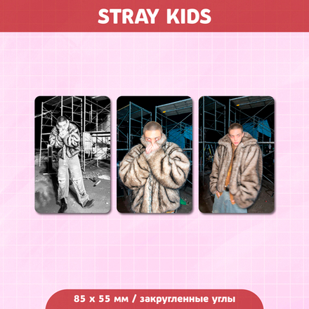 Сет карточек / STRAY KIDS #206 Хёнджин