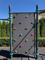 Воркаут-комплекс: 4 турника, рукоход-змеевик, шведская стенка и скалодром - Индига