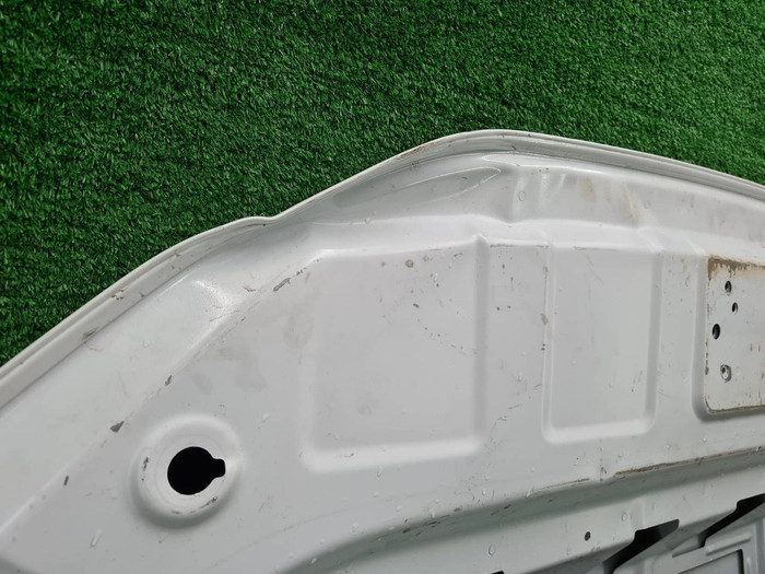 Капот Zeekr 001 (2021-н.в.)