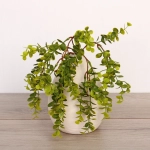 Искусственные цветы «Волшебство трав» 37см Эвкалипт светло-зеленый