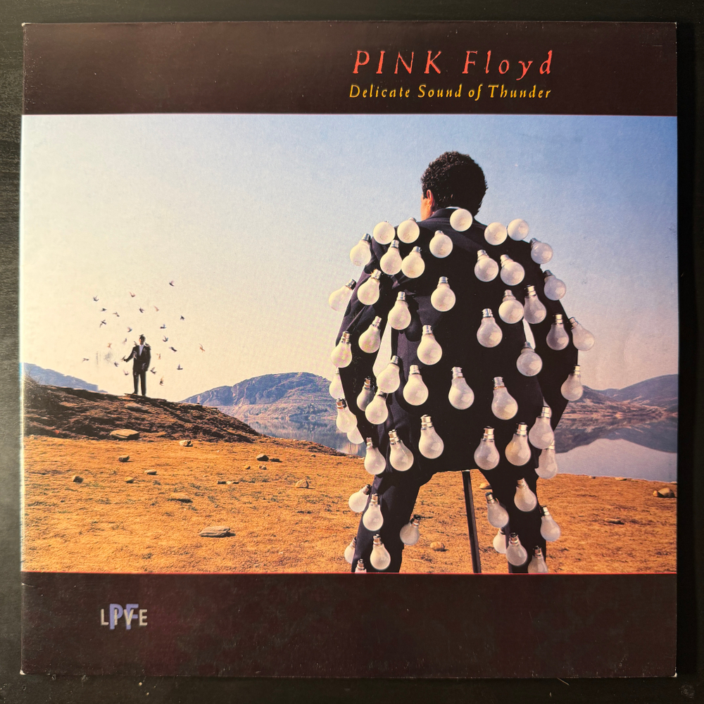 Pink Floyd - Delicate Sound Of Thunder 2LP (Европа 1988г.)