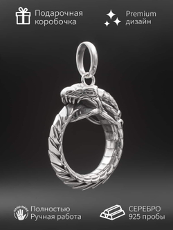 Картинка уроборос из серебра с инфографикой.