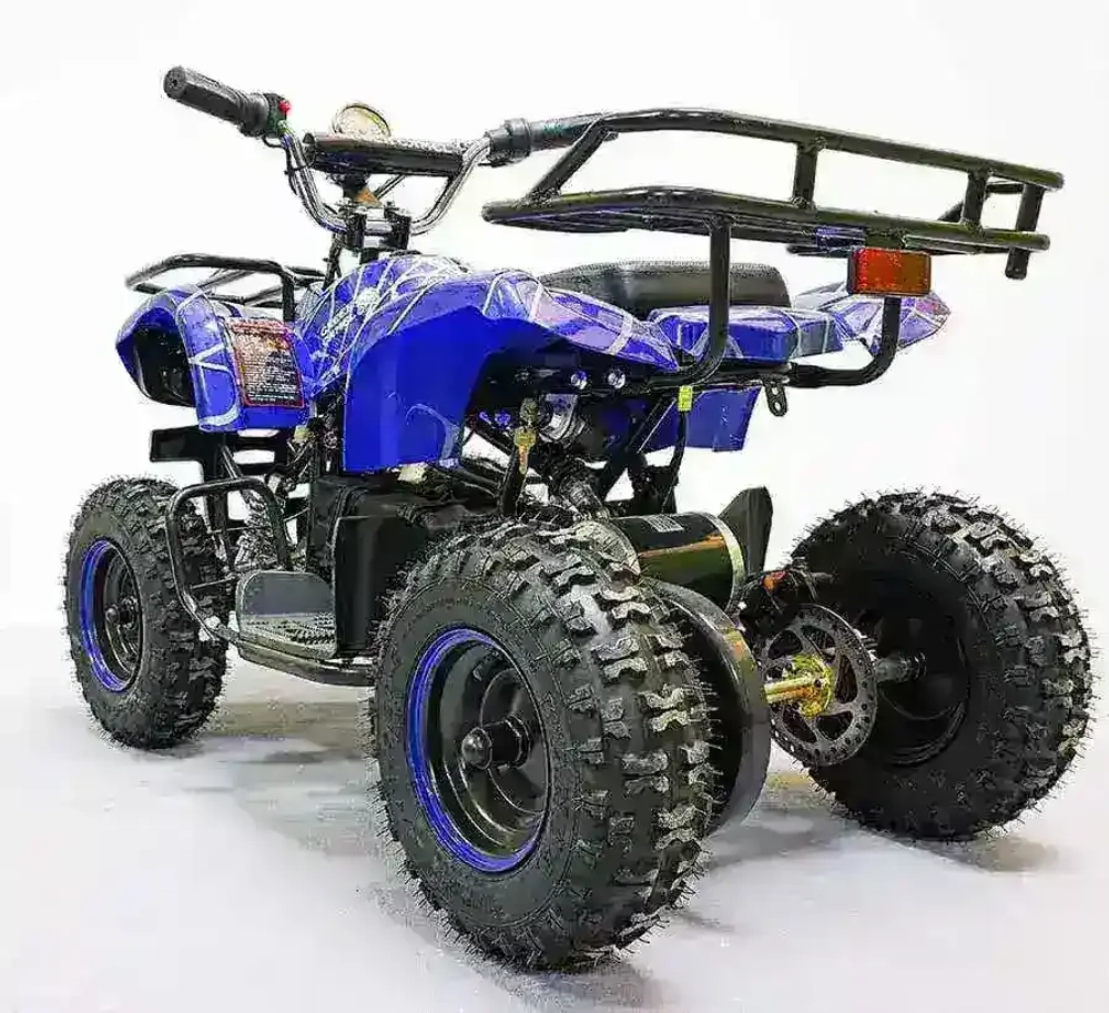 Электроквадроцикл Green Camel Гоби K31 (36V 800W R6 Цепь) ножной тормоз