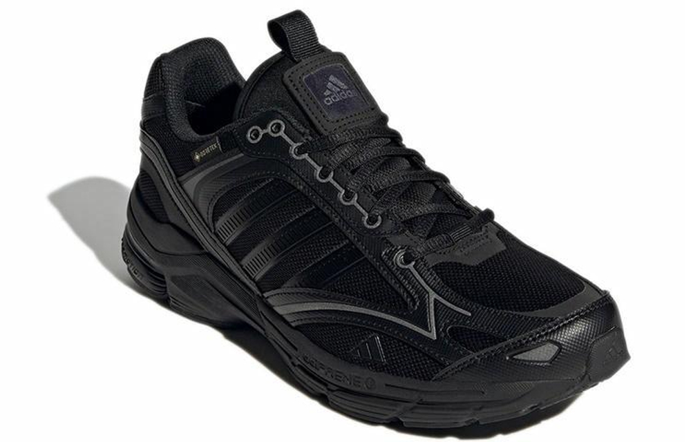 Кроссовки Adidas Spiritain 2000 Gtx