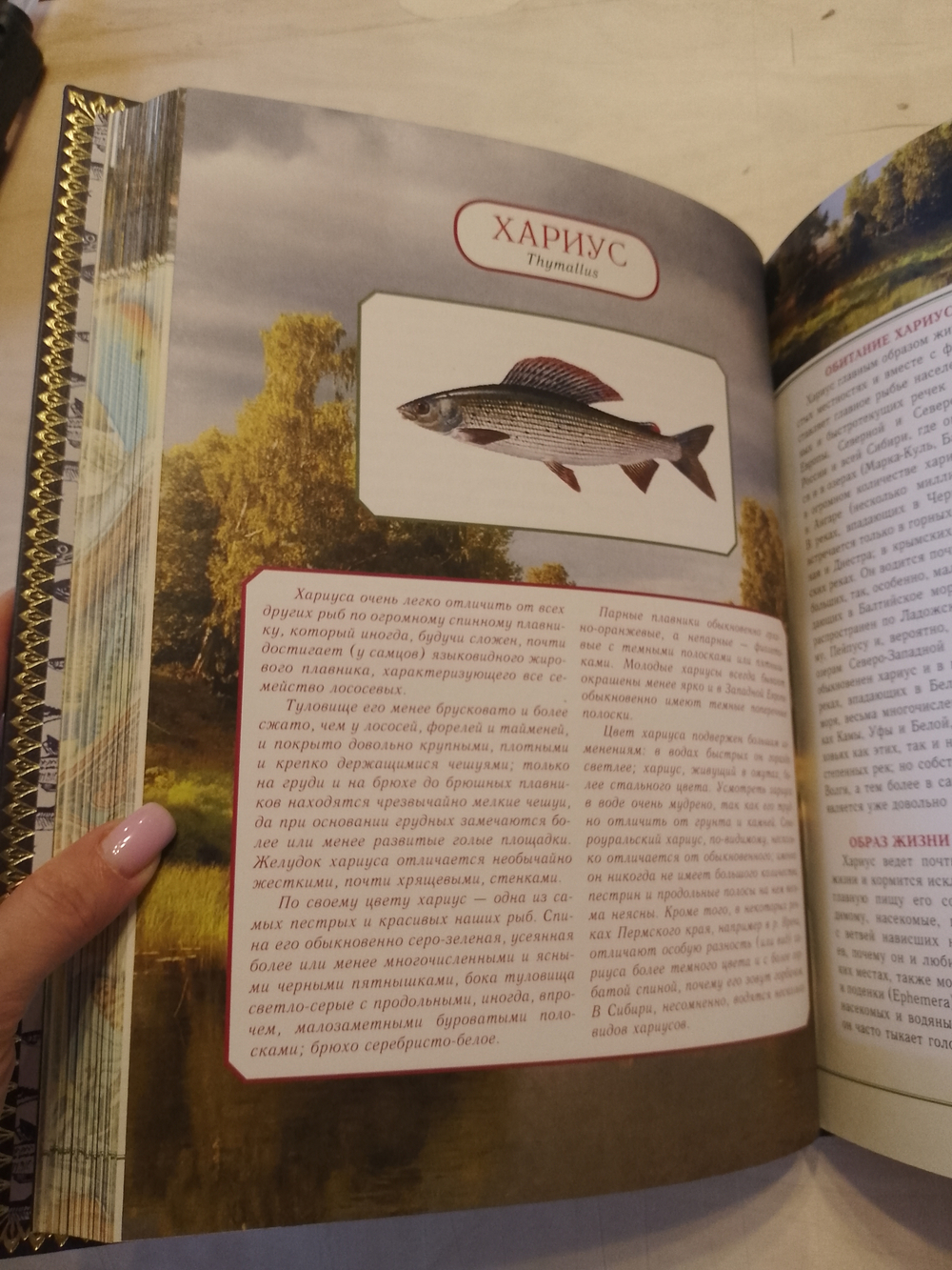 Л.П. Сабанеев "Рыбалка" Книга в обложке из натуральной кожи