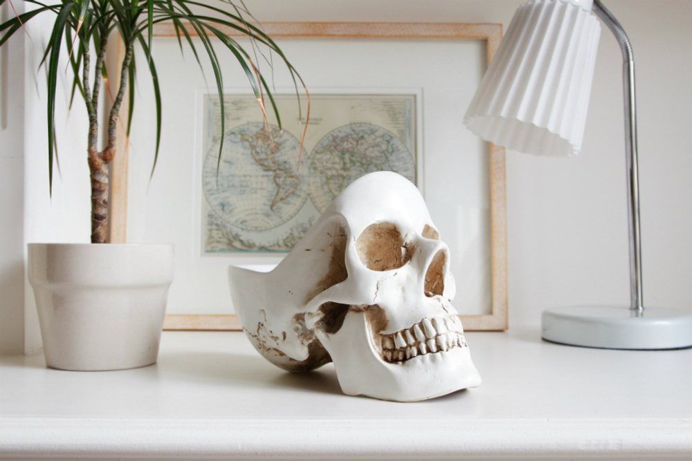 Органайзер для мелочей Skull белый