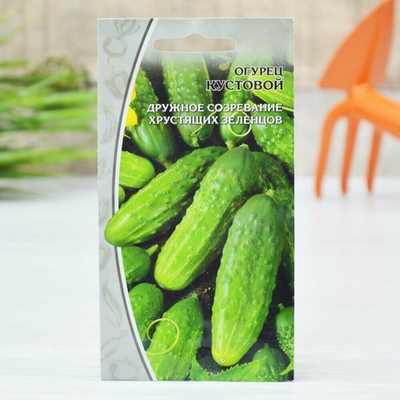 ОГУРЕЦ Кустовой (0,25г) раннеспелый Цв.пак. (10шт)