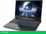 Игровой ноутбук Colorful Evol P15 24 A10205400052