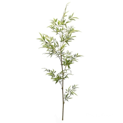 Бамбук ветка 210 см