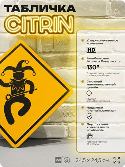 Табличка "Шут" шуточная прикольная табличка на дверь и стену, для офиса и дома, декоративный знак, 24,5х24,5 см, пластиковая, Айдентика Технолоджи
