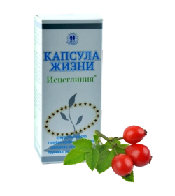 5 элемент Капсула Жизни (почки) 60 капсул