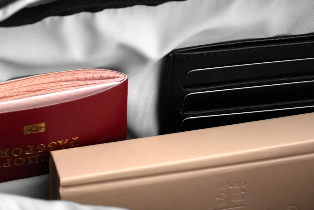 Маленькая сумка - Гудзон