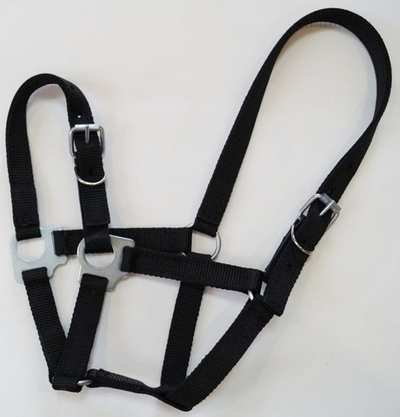 Недоуздок ременной ( размер COB)