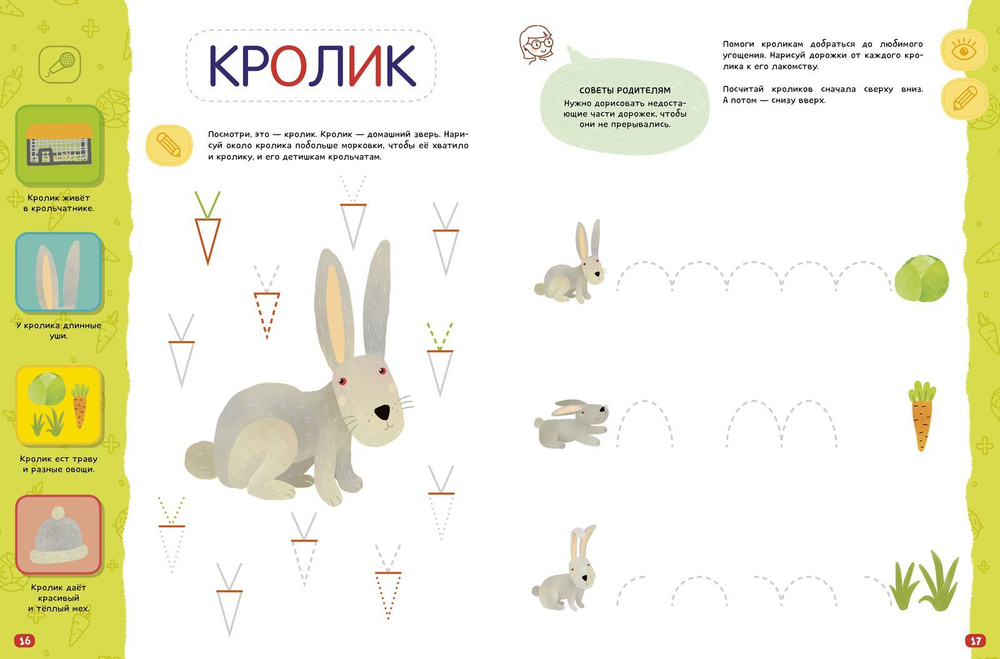 Компакт-технологии для одарённых малышей. Домашние животные