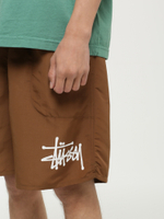 Мужские Шорты Big Basic Water