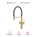 Смеситель для кухни с подключением фильтра Raglo R20.63.03, золотой сатин