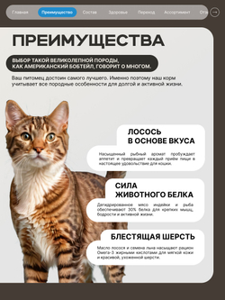 Корм сухой для взрослых кошек породы Американский бобтейл, с лососем, 2 кг, QUATTRO
