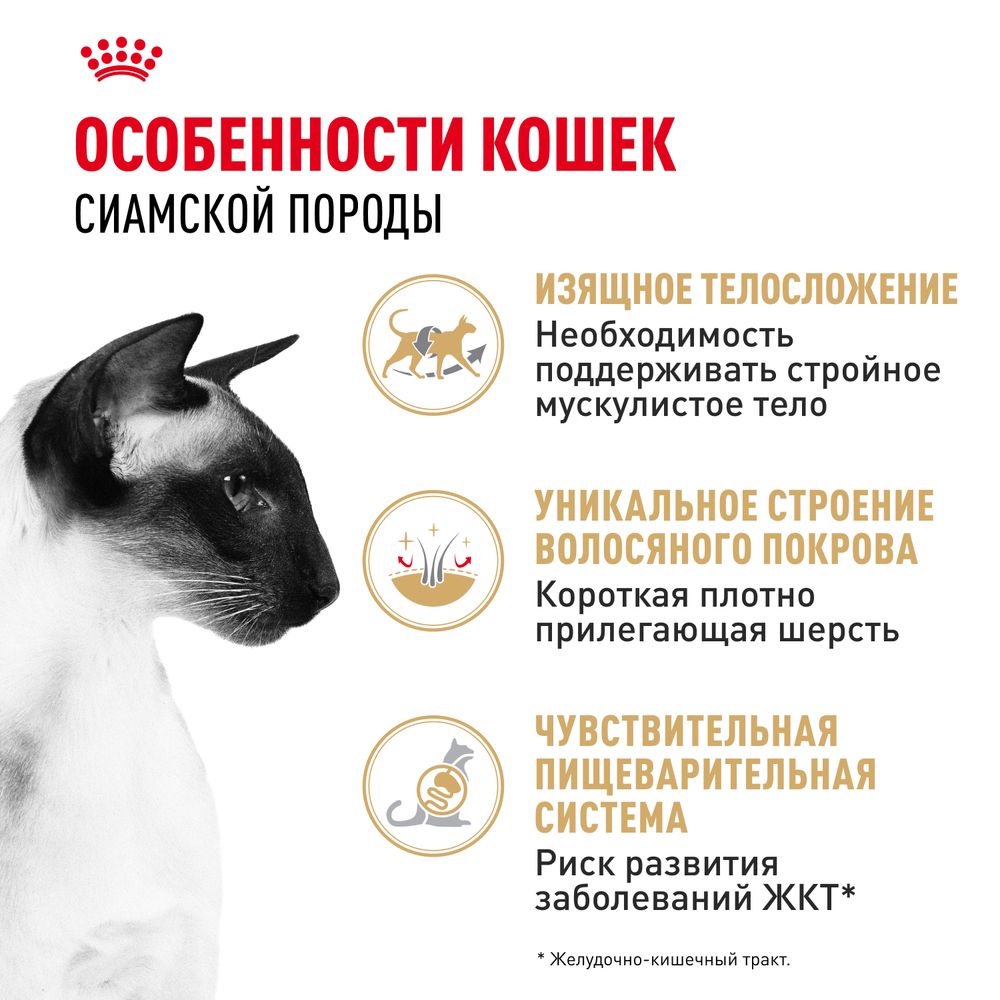 Сухой корм Royal Canin Siamese Adult для взрослых сиамских кошек от 12 месяцев Сухой корм Royal Canin Siamese Adult для взрослых сиамских кошек от 12 месяцев
