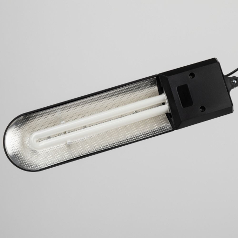 Настольный светильник ЭРА NL-202-G23-11W-BK с лампой PL на струбцине и с основанием черный | Настольные светильники под лампу