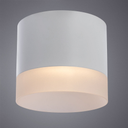 Накладной светильник Arte Lamp A5554PL-1WH