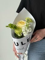 Кулек сборный из молюцелла, маттиолы и диантусов