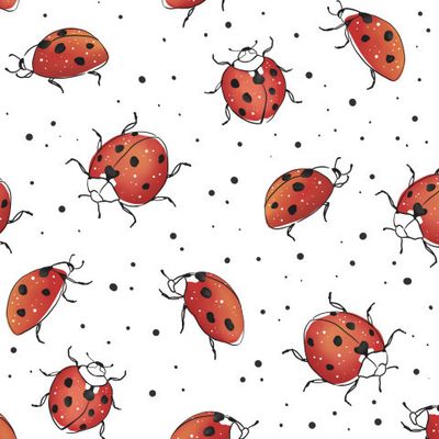 Божьи коровки