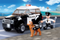 Police dog brigade