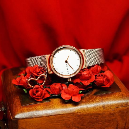 Женские часы Skagen SKW1101