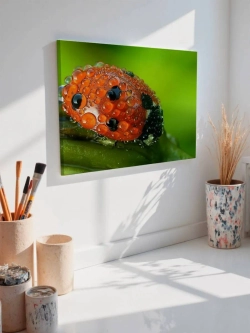 Картина на стену 40 X 50 Божья коровка