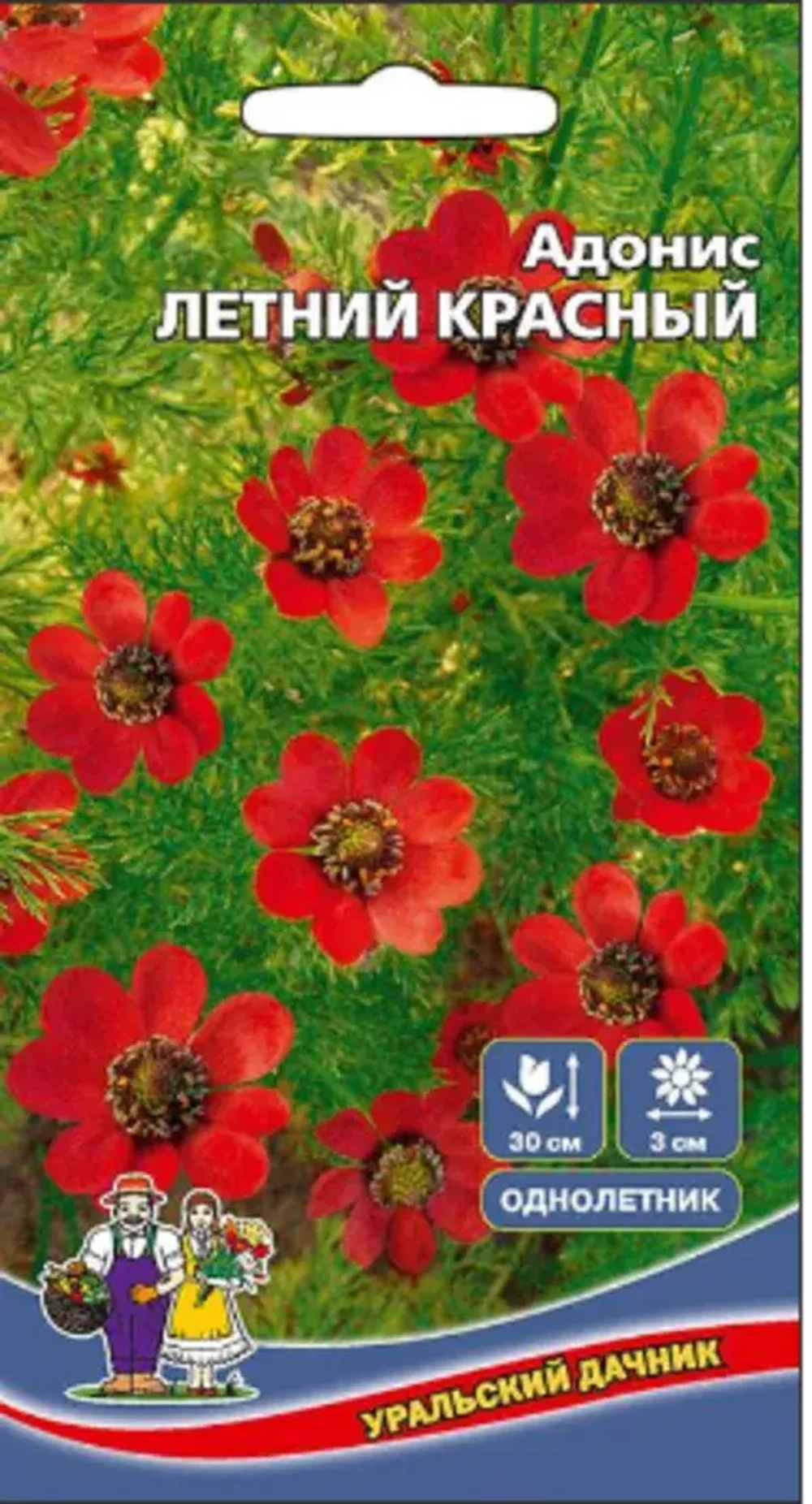 Семена Адонис Летний Красный 0,1гр (УД) Е/П