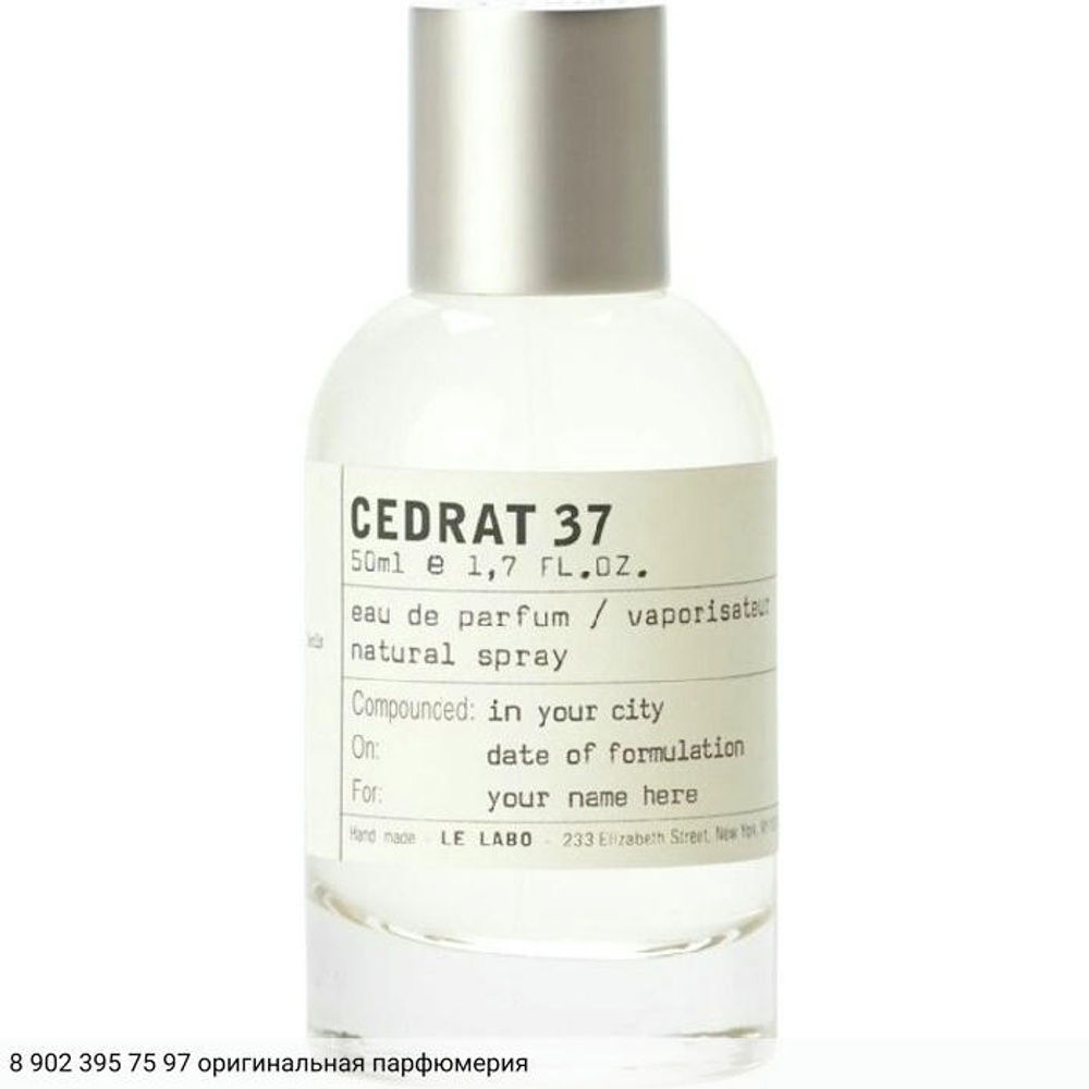 Cedrat 37 Berlin