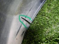 DSCN8385.jpg