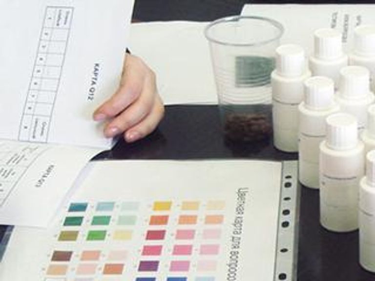 Где пить пиво?