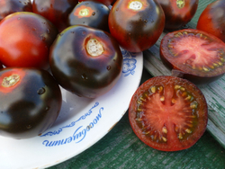 Помидоры - Blue Chocolate - Синий Шоколад