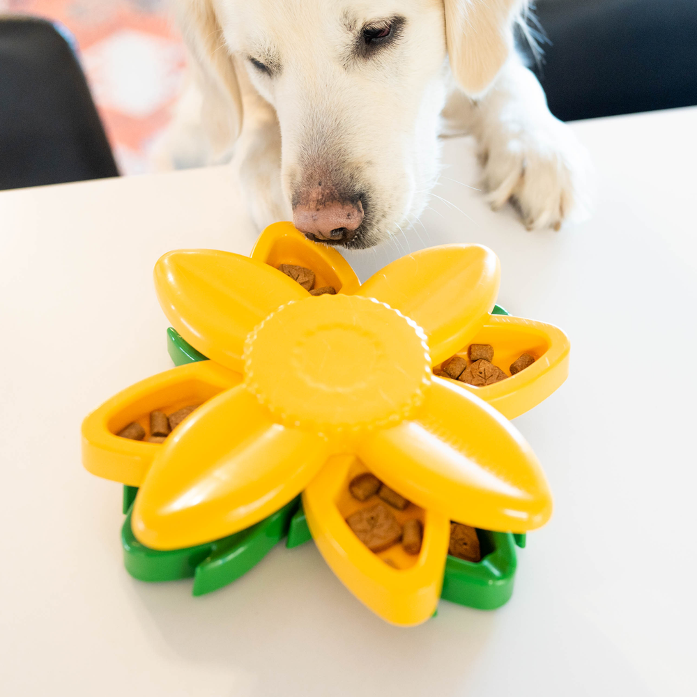 Развивающая игрушка SmartyPaws Puzzler Подсолнух ZippyPaws