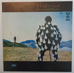 Pink Floyd Delicate Sound Of Thunder