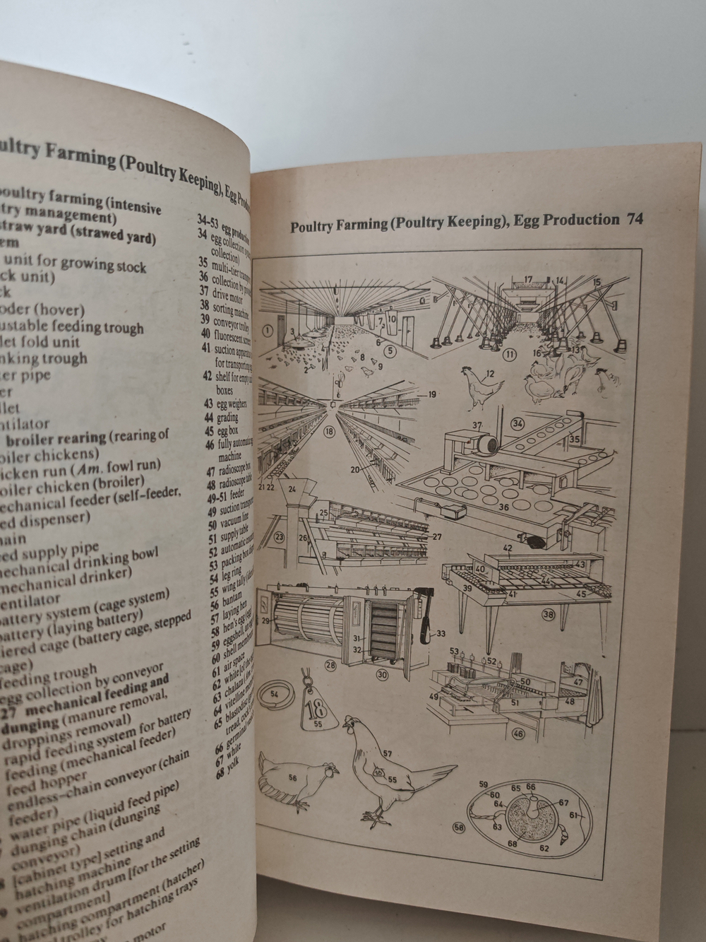 Картинный словарь современного английского языка. Оксфорд-Дуден