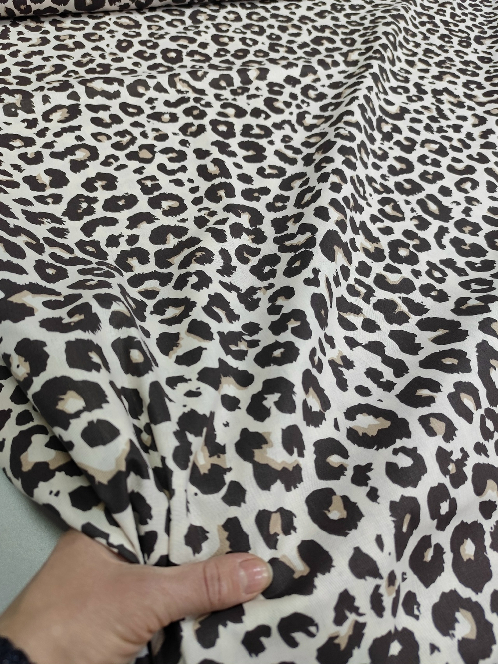 Поплин / Леон