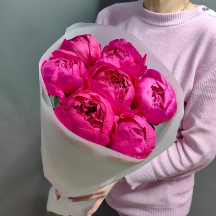 Букет из 7 малиновых пионов