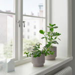 Горшок для растений IKEA HONUNGSPALM (ХОНУНГСПАЛМ), Серо-бежевый, 12 см