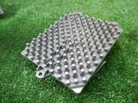 DSCN5212.JPG