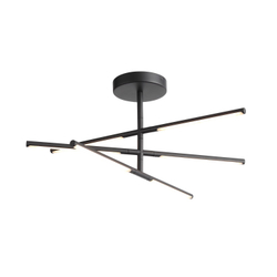 Светильник потолочный ST Luce Ralio SL1580.403.03