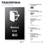 Табличка Выход, на дверь и стену, информационная и мультиязычная (русский, английский, китайский), серия GLOBAL, 25х15 см, Айдентика Технолоджи