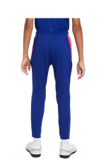 Штаны Nike Dry Strike Pant Детские