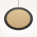 Подвесной светодиодный светильник Maytoni El MOD041PL-L15WG3K